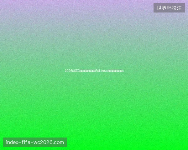 2026年SEO蜘蛛池搭建避坑指南：7个Linux命令与谷歌独立站推广